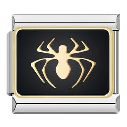 Image of Spider